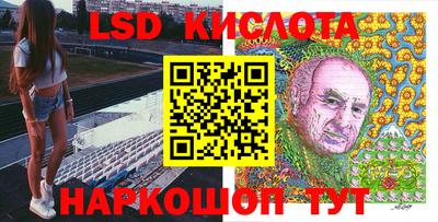 амф Гусев