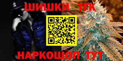амф Гусев