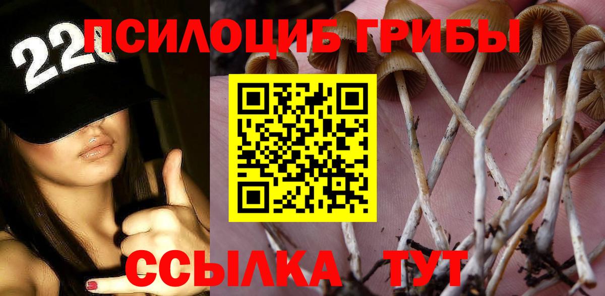Галлюциногенные грибы Magic Shrooms  Галлюциногенные грибы прущие грибы  Шарыпово  Вход с VPN 